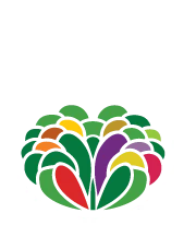 Moja Salata Bar
